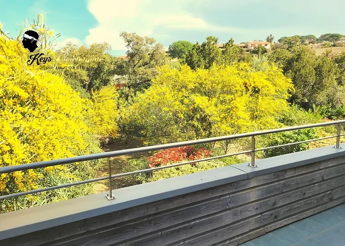 Apartment 4 Pers Piscine Chauffee Acces A Pied A La Santa Giulia