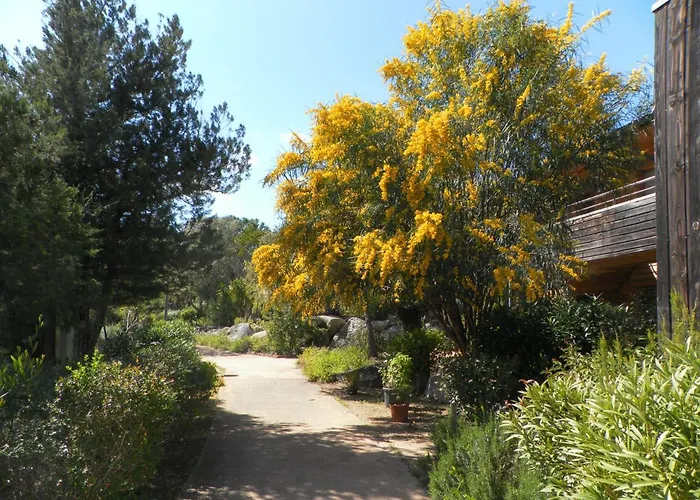 Apartment 4 Pers Piscine Chauffee Acces A Pied A La Santa Giulia *